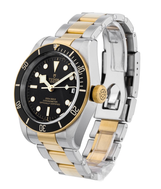 Tudor Black Bay M79733N-0008 Image 2